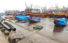Thái Bình cấm biển từ 6 giờ ngày 19/10 do ảnh hưởng bởi bão số 5