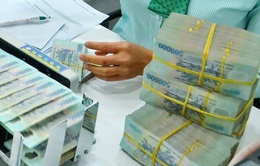 TP Hồ Chí Minh phấn đấu giải ngân đầu tư công 80% trở lên