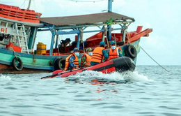 EC tiếp tục kiểm tra thủy sản Việt Nam vào giữa năm sau