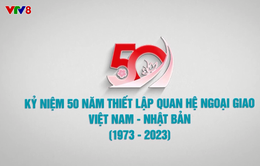 Chào mừng 50 năm thiết lập quan hệ ngoại giao Việt Nam - Nhật Bản