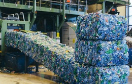 Thúc đẩy doanh nghiệp sản xuất tổ chức tái chế
