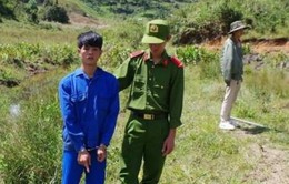 Lâm Đồng: Tạm giam nhóm côn đồ đánh người, cưỡng đoạt tài sản do tranh chấp đất đai