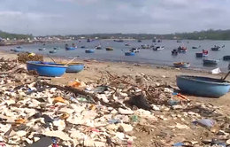 Ô nhiễm rác thải tại khu vực ven biển Quảng Ngãi