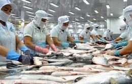 Xuất khẩu cá tra lấy lại đà tăng
