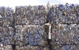 Nỗ lực toàn cầu chống rác thải nhựa