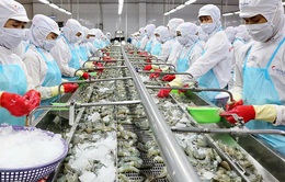 Trung Quốc tăng nhập khẩu thủy sản Việt Nam