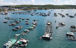 Kiên Giang và Na Uy tìm kiếm cơ hội phát triển nghề nuôi biển