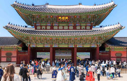 5 lời khuyên du lịch vào mùa thu Hàn Quốc