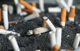 New Zealand bãi bỏ lệnh cấm hút thuốc lá để tài trợ cho việc cắt giảm thuế