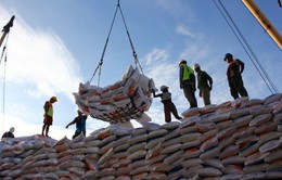 Indonesia ký hợp đồng nhập khẩu 1 triệu tấn gạo từ Việt Nam và 3 nước khác