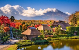Mùa thu Nhật Bản thu hút du khách Việt