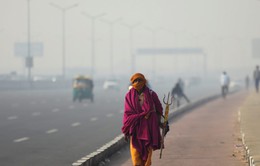 Thủ đô New Delhi của Ấn Độ đóng cửa trường học do ô nhiễm nặng
