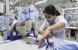 Doanh nghiệp Việt trước thách thức “xanh hóa” của EU