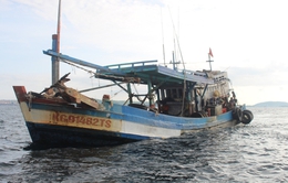 Kiên Giang: Bắt giữ tàu cá vận chuyển 50.000 lít dầu DO lậu trên biển Tây Nam