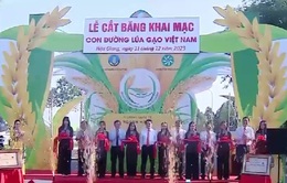 Độc đáo con đường lúa gạo Việt Nam