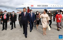 Phong cách thời trang trang nhã và thanh lịch của Phu nhân Tổng Bí thư, Chủ tịch nước Trung Quốc