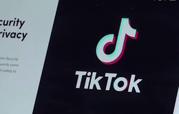 TikTok trở lại thị trường thương mại điện tử Indonesia