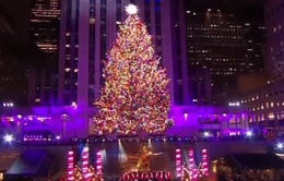 Truyền thống thắp sáng cây thông Noel khổng lồ ở New York