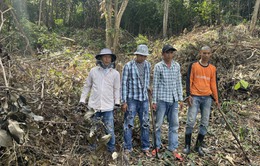 Bắt 4 người phá rừng trái phép ở Phú Quốc