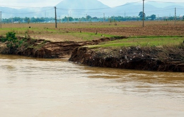 Gần 100 vị trí ven sông có nguy cơ sạt lở tại Quảng Nam