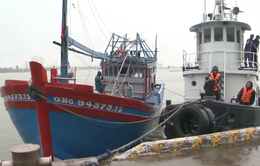 Cứu nạn tàu cá ngư dân Quảng Ngãi về bờ an toàn