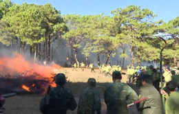 Gia Lai: Diễn tập chữa cháy rừng cấp tỉnh năm 2023