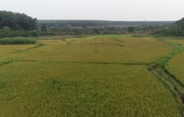 Những ngôi làng trù phú tại vùng biên giới Chư Prông, tỉnh Gia Lai
