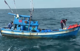 Cảnh sát biển bắt giữ tàu chở thiết bị VMS của tàu cá khác