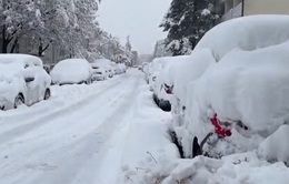 Tuyết rơi dày ảnh hưởng nghiêm trọng giao thông tại châu Âu