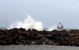 Ấn Độ ứng phó bão Michaung