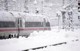 Sân bay Munich, Đức ngừng hoạt động vì bão tuyết