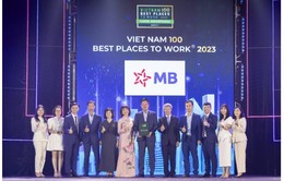MB được bình chọn là Nơi Làm Việc Tốt Nhất Việt Nam® 2023