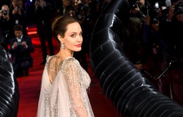 Rộ tin Angelina Jolie lấn sân sang địa hạt thời trang