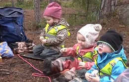 Thụy Điển khuyến khích các hoạt động ngoại khóa cho trẻ mẫu giáo