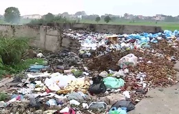 Ô nhiễm rác thải nông thôn