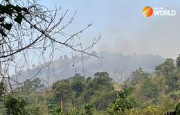 Cháy rừng đe dọa công viên quốc gia Khao Yai của Thái Lan