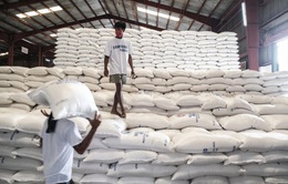 Philippines sẽ nhập khẩu thêm 330.000 tấn gạo
