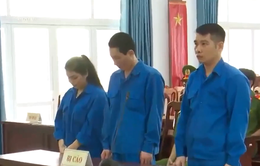 Đà Nẵng: Xét xử nhóm đối tượng mua bán ma túy