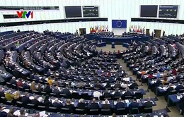 Nghị viện châu Âu thông qua chính sách về khí hậu