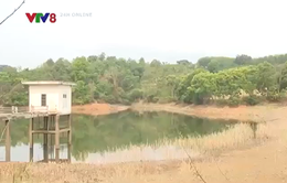 Đắk Nông: Nguy cơ thiếu nước ở nơi nhiều hồ đập