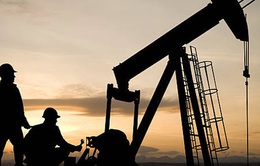 Giá dầu giảm xuống mức thấp nhất trong 2 tuần