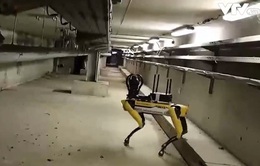 Robot hỗ trợ sửa chữa tàu điện ngầm