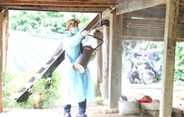 Ngày Thế giới phòng chống sốt rét 25/4: Nhiều hoạt động hướng tới loại trừ mầm bệnh