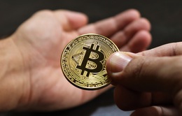 Bitcoin có thể đạt mức 100.000 USD vào năm sau
