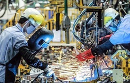 OECD dự báo kinh tế Việt Nam năm 2023 tăng 6,5%