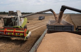 Ba Lan tiếp tục cấm nhập khẩu ngũ cốc Ukraine