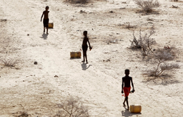 Biến đổi khí hậu đứng sau hạn hán tàn khốc ở vùng Sừng châu Phi