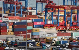 WTO: Tăng trưởng thương mại toàn cầu sẽ giảm tốc