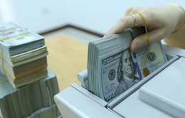 Moody's: Dự trữ ngoại hối của Việt Nam phục hồi cuối năm nay