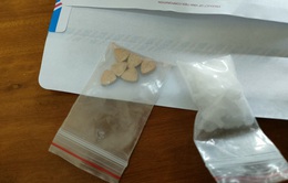 Bắt giữ đối tượng tàng trữ trái phép chất ma túy tại TP. Hồ Chí Minh
